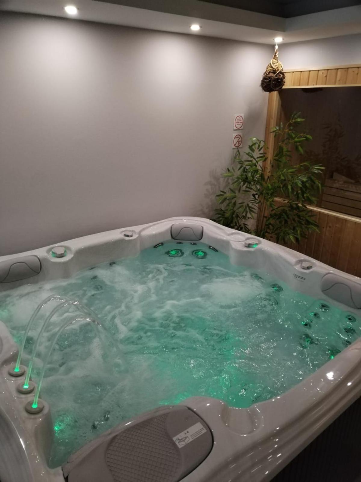 Villa Spa Magic トゥヘリスケ・トプリツェ エクステリア 写真